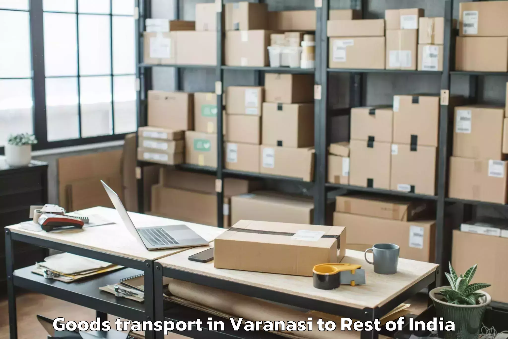 Quality Varanasi to Kowdipally Goods Transport